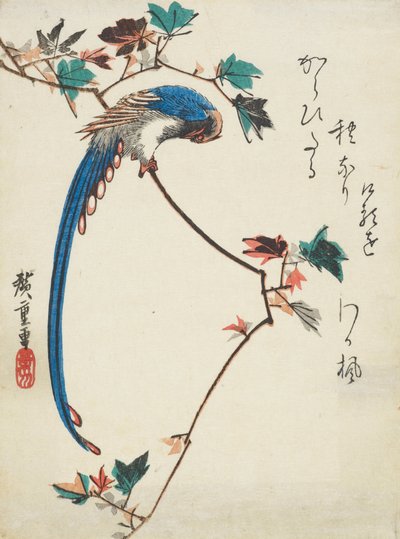 Blaue Elster auf einem Ahornzweig von Utagawa Hiroshige